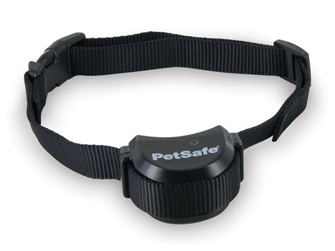 electric dog collar near me